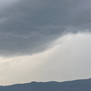 四虎在线精品观看免费
