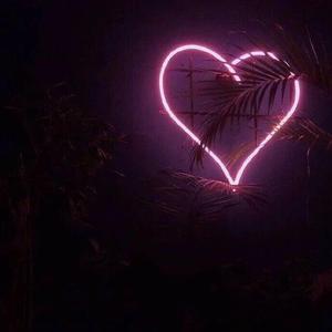 四虎在线精品观看免费
