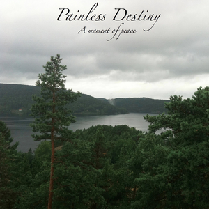 四虎在线精品观看免费
